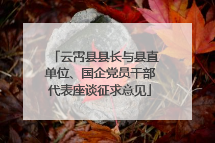云霄县县长与县直单位、国企党员干部代表座谈征求意见