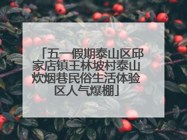 五一假期泰山区邱家店镇王林坡村泰山炊烟巷民俗生活体验区人气爆棚