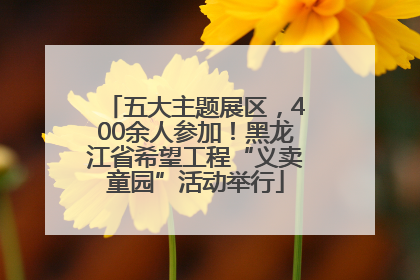 五大主题展区，400余人参加！黑龙江省希望工程“义卖童园”活动举行
