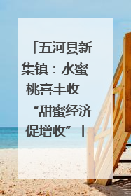 五河县新集镇：水蜜桃喜丰收 “甜蜜经济促增收”