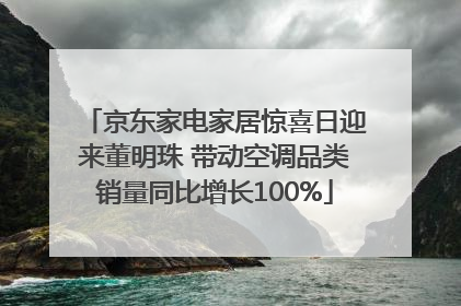 京东家电家居惊喜日迎来董明珠 带动空调品类销量同比增长100%