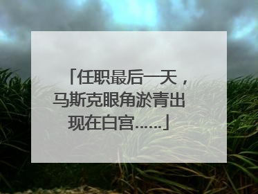 任职最后一天，马斯克眼角淤青出现在白宫……