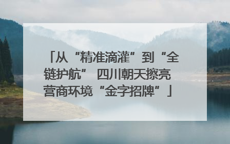 从“精准滴灌”到“全链护航” 四川朝天擦亮营商环境“金字招牌”