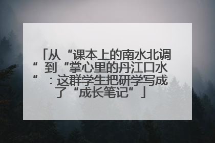 从“课本上的南水北调”到“掌心里的丹江口水”：这群学生把研学写成了“成长笔记”