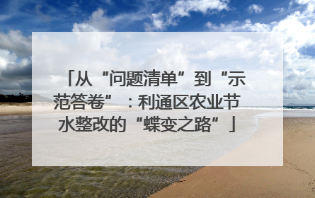 从“问题清单”到“示范答卷”：利通区农业节水整改的“蝶变之路”