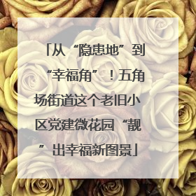 从“隐患地”到“幸福角”！五角场街道这个老旧小区党建微花园“靓”出幸福新图景