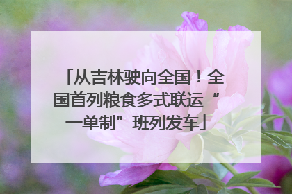 从吉林驶向全国！全国首列粮食多式联运“一单制”班列发车