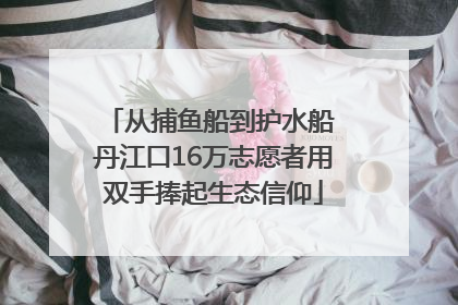 从捕鱼船到护水船 丹江口16万志愿者用双手捧起生态信仰