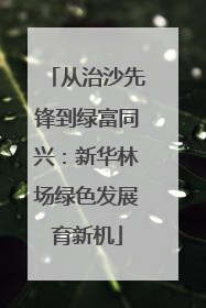 从治沙先锋到绿富同兴：新华林场绿色发展育新机