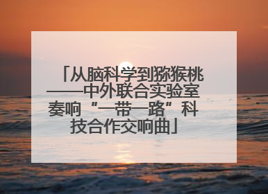 从脑科学到猕猴桃——中外联合实验室奏响“一带一路”科技合作交响曲