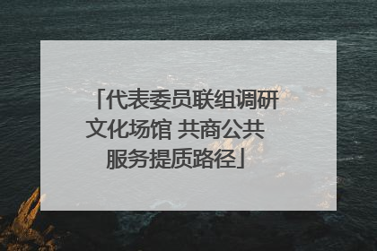 代表委员联组调研文化场馆 共商公共服务提质路径
