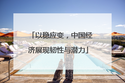 以稳应变，中国经济展现韧性与潜力