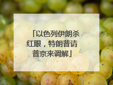 以色列伊朗杀红眼，特朗普请普京来调解