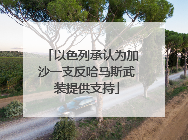 以色列承认为加沙一支反哈马斯武装提供支持