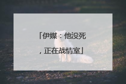 伊媒：他没死，正在战情室