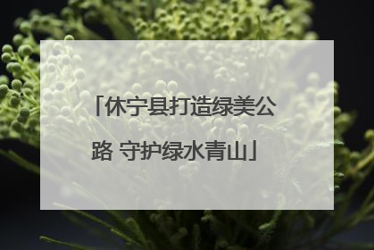 休宁县打造绿美公路 守护绿水青山