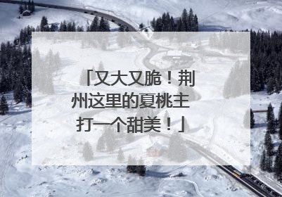 又大又脆！荆州这里的夏桃主打一个甜美！