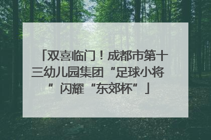 双喜临门！成都市第十三幼儿园集团“足球小将”闪耀“东郊杯”