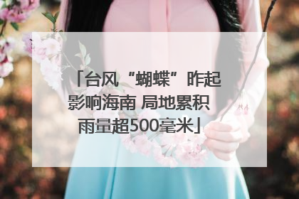 台风“蝴蝶”昨起影响海南 局地累积雨量超500毫米