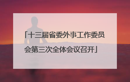 十三届省委外事工作委员会第三次全体会议召开