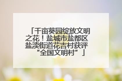 千亩葵园绽放文明之花！盐城市盐都区盐渎街道花吉村获评“全国文明村”