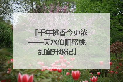 千年桃香今更浓——天水伯阳蜜桃甜蜜升级记