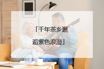 千年茶乡邂逅紫色浪漫