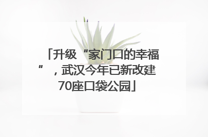 升级“家门口的幸福”，武汉今年已新改建70座口袋公园