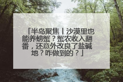 半岛聚焦丨沙漠里也能养螃蟹？蟹农收入翻番，还意外改良了盐碱地？咋做到的？