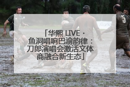 华熙 LIVE・鱼洞唱响巴渝韵律：刀郎演唱会激活文体商融合新生态