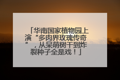 华南国家植物园上演“多肉界玫瑰传奇”，从呆萌树干到炸裂种子全是戏！