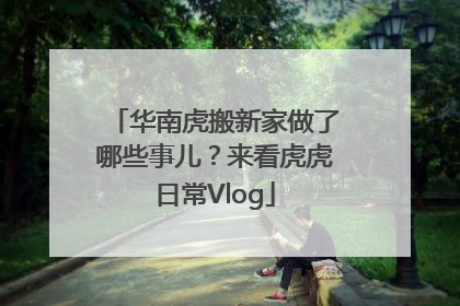 华南虎搬新家做了哪些事儿？来看虎虎日常Vlog