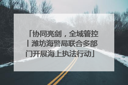 协同亮剑，全域管控丨潍坊海警局联合多部门开展海上执法行动