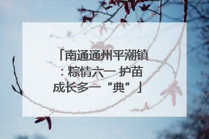 南通通州平潮镇：粽情六一 护苗成长多一“典”