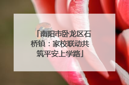南阳市卧龙区石桥镇：家校联动共筑平安上学路