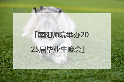 南阳师院举办2025届毕业生晚会