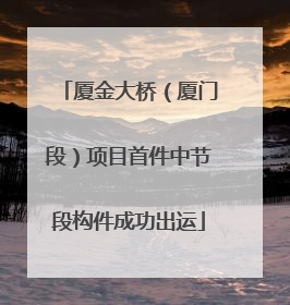 厦金大桥（厦门段）项目首件中节段构件成功出运