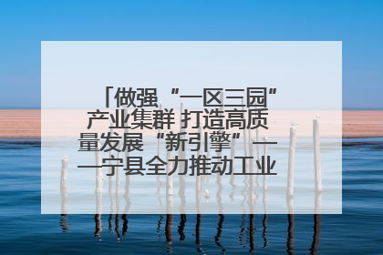 做强“一区三园”产业集群 打造高质量发展“新引擎”——宁县全力推动工业经济提质增效