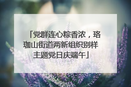 党群连心粽香浓，珞珈山街道两新组织别样主题党日庆端午