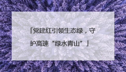 党建红引领生态绿，守护高速“绿水青山”