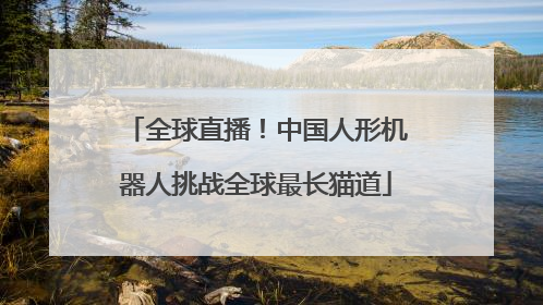 全球直播！中国人形机器人挑战全球最长猫道
