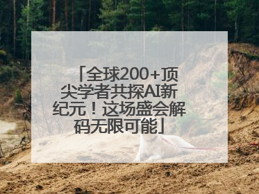 全球200+顶尖学者共探AI新纪元！这场盛会解码无限可能
