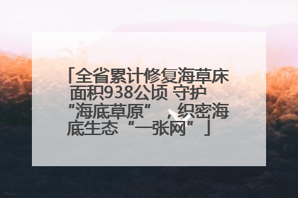 全省累计修复海草床面积938公顷 守护“海底草原”，织密海底生态“一张网”
