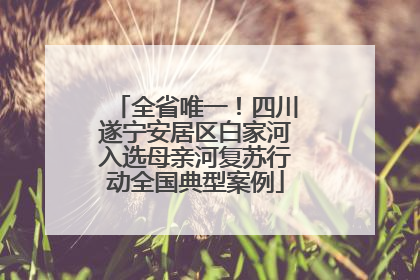 全省唯一！四川遂宁安居区白家河入选母亲河复苏行动全国典型案例