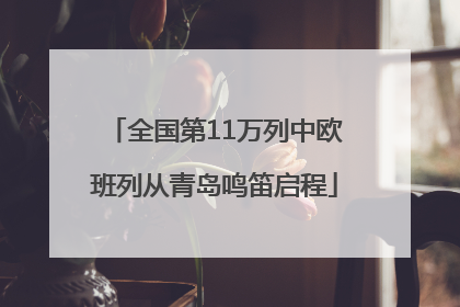 全国第11万列中欧班列从青岛鸣笛启程