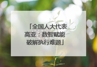 全国人大代表高亚：数智赋能破解执行难题