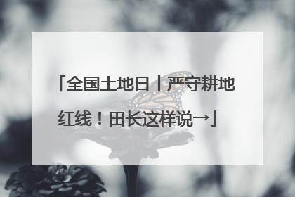 全国土地日丨严守耕地红线！田长这样说→