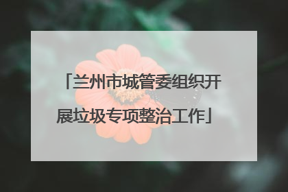 兰州市城管委组织开展垃圾专项整治工作