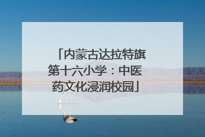 内蒙古达拉特旗第十六小学：中医药文化浸润校园