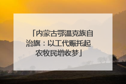 内蒙古鄂温克族自治旗：以工代赈托起农牧民增收梦